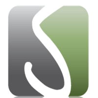 Formelsconsulting logo