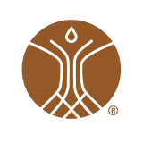 Ellison Institute of Technology