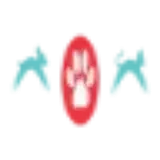 Indian Tree Animal Hospital