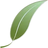 Smartleaf