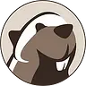 DBeaver
