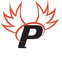 Paragon Cyber Solutions logo