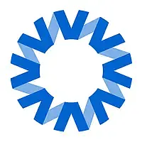 National Vision logo