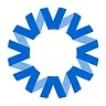 National Vision logo