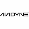 Avidyne