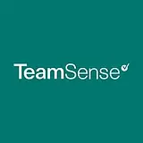 TeamSense