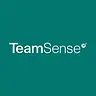 TeamSense