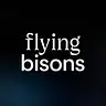Flyingbisons