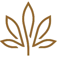 Kiva Confections logo