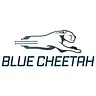 Blue Cheetah Analog Design