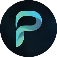 Parkar Digital logo