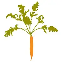 Stone Barns Center logo