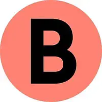 Boundless Immigration logo