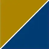 Precision Medicine Group