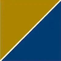 Precision Medicine Group logo