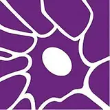 Lifescience Dynamics