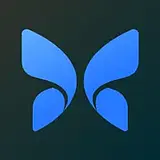 Butterfly Network