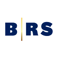B. Riley Securities  logo