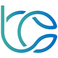 Beyondcloudconsulting logo