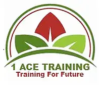ACE Training logo