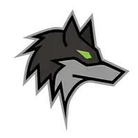 Dark Wolf Solutions logo