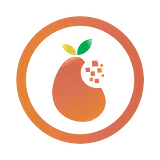 Mango Byte Technology Co., Ltd.