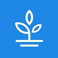 Beech Valley Solutions logo