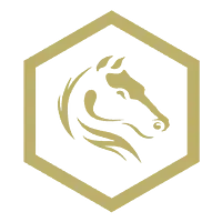 Darkhorse Emergency logo