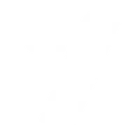 Granola Studios GmbH logo